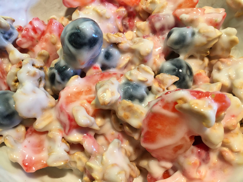 fruit granola yogurt breakfast bowl